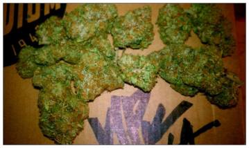 gallery/10547604_308675915962956_6959584063009540511_n